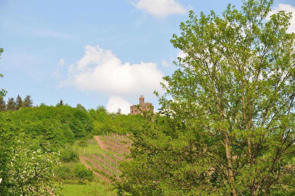 Schroeders Wein-Style-Hotel トリーア エクステリア 写真