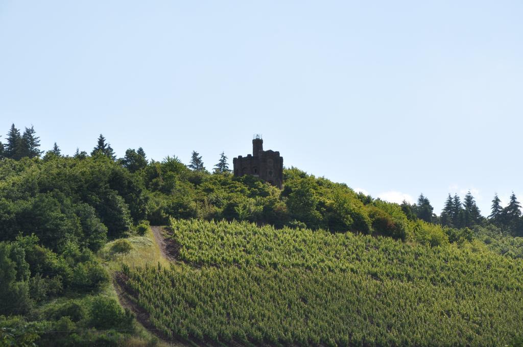 Schroeders Wein-Style-Hotel トリーア エクステリア 写真