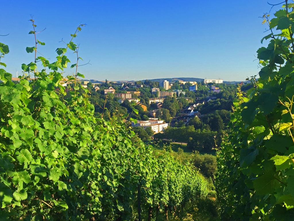 Schroeders Wein-Style-Hotel トリーア エクステリア 写真